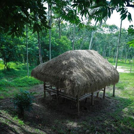 Royal Wooden Villa Mananthavady Esterno foto