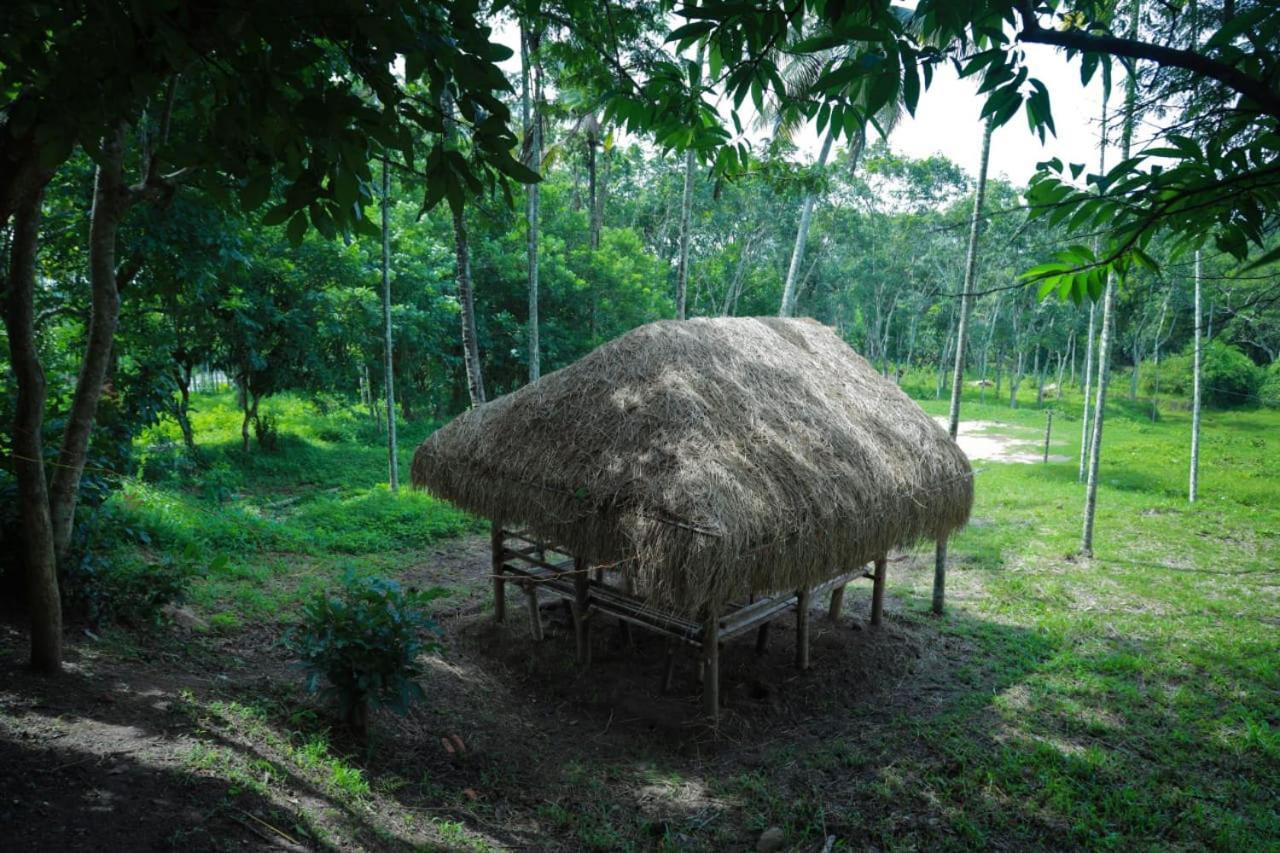 Royal Wooden Villa Mananthavady Esterno foto