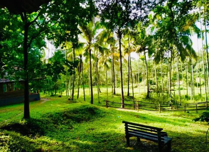 Royal Wooden Villa Mananthavady Esterno foto